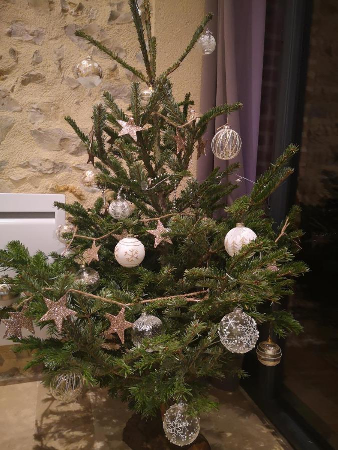 Ouzouer-Sur-TrezeeTuilerie De La Cote 4*公寓式酒店 外观 照片